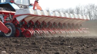 Кубанские фермеры: секрет успеха – господдержка