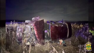 Два человека погибли в ночном ДТП на Кубани