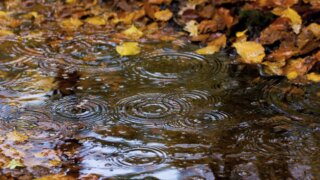 Дожди и похолодание надвигаются на Кубань