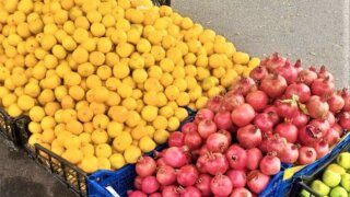 На Кубани пресекли более 7,7 тысячи случаев несанкционированной торговли