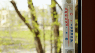 Температурный рекорд 43-летней давности зафиксирован в Краснодаре