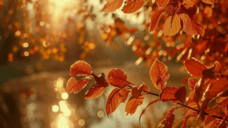 На Кубани ожидается солнечная и теплая погода