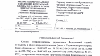 Первый замруководителя фракции «Справедливая Россия» в Госдуме Дмитрий Гусев: Добиваемся реальных мер по прекращению сбросов сточных вод в Кубань