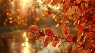 Температура на Кубани превысила климатическую норму из-за антициклона