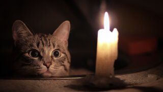 Около 30 улиц остались без света в Краснодаре