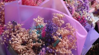 Депутат ЗСК Олег Бойченко поздравил волонтеров с прошедшим Днем добровольца