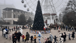 Новогодние елки открыли в парках Краснодара