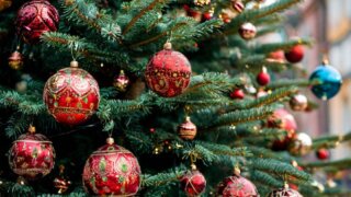 На Кубани работают более 250 елочных базаров и ярмарок