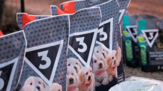 Федеральный телеканал поздравил приют «Краснодог» с Новым годом и передал более 370 кг корма для щенков