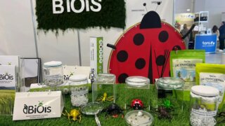 Одиннадцать проектов Кубани получили гранты Фонда содействия инновациям на 80,5 млн рублей