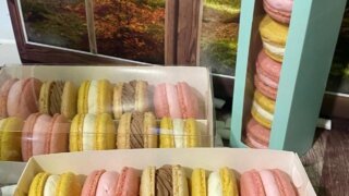 С начала 2025 года в Краснодарском крае заключили более 7,6 тысячи социальных контрактов