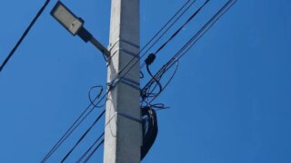 Энергетики узаконили ВОЛС на 240 тысячах опорах ЛЭП на Кубани и в Адыгее