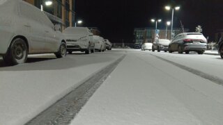 Краснодар укрыло снежным покрывалом. Уютный фоторепортаж с городских улиц