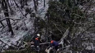 В Сочи упавшее дерево проломило крышу дома и упало рядом с детской кроватью