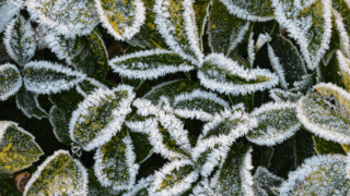 Морозы добрались до Черного моря