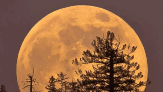 Жители Кубани смогут увидеть редкое астрономическое явление — суперлуние