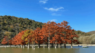 Самыми теплыми в России 30 ноября стали шесть городов и поселков Краснодарского края