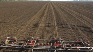 Кубанские аграрии из пострадавших от засухи районов получат компенсации за покупку семян