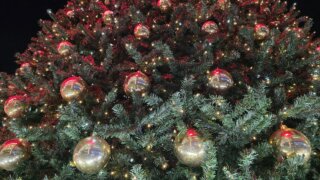 Стали известны новогодние предпочтения кубанцев: оливье, елки и угощения для питомцев