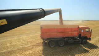 Сельское хозяйство Краснодара: рекорды и достижения 2025 года