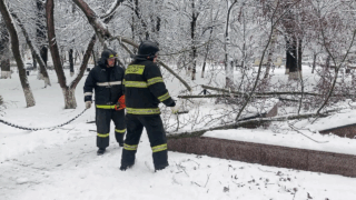 Глава Краснодара оценил работу служб в праздники