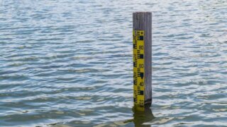 В Белореченском районе зафиксирован подъем воды в реке Пшиш