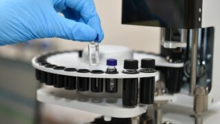 Кубань укрепляет промышленный суверенитет России