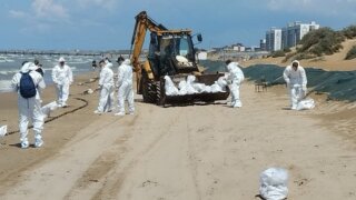 Новых выбросов мазута на пляжах Анапы не зафиксировано
