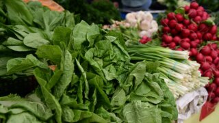 Ярмарки местных фермеров вновь начнут свою работу в районах Краснодара