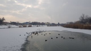 Школьница провалилась под лед во время селфи в Краснодаре