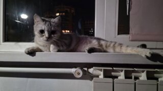 На Кубани вырос тариф на отопление