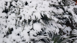 В Сочи с начала новогодних праздников с дорог убрали 70 тыс. кубометров снега