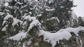 Жителей Кубани предупредили о сильном ветре и похолодании