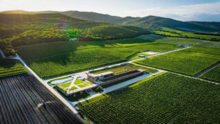 В 2025 году объекты «Золотого кольца Боспорского царства» в Краснодарском крае посетили более 800 тысяч человек