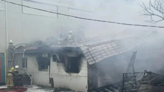 Пожар на конюшне под Новороссийском: спасены 21 лошадь и один человек