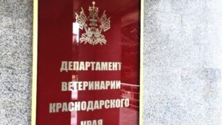 На Кубани усиливают контроль за ветеринарной безопасностью