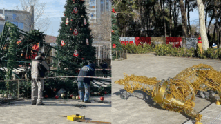 В Анапе из-за сильного ветра рухнула новогодняя ель на площади