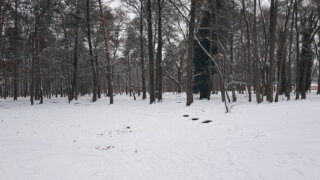 Российская станция «Восток» зафиксировала самую низкую температуру на планете