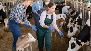Больше двухсот классов с углубленным изучением агродисциплин открылось в кубанских школах в 2025 году