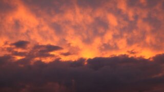 Температурный максимум в Туапсе превысил рекорд 1958 года