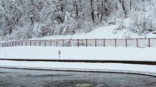 Сочи дарит снег