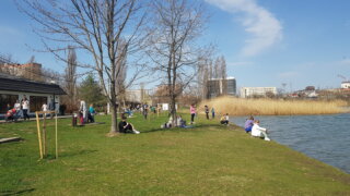 Жителей Краснодара предупредили о холодной весне и опасности для аллергиков