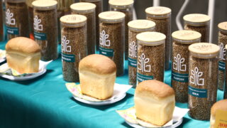 Кубанские селекционеры добиваются рекордной урожайности пшеницы