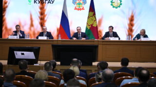 Кубанские власти выделили более 10 млрд рублей на поддержку АПК