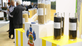 Александр Руденко рассказал о мерах поддержки для многодетных семей