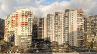 Поддержка бизнеса, инновации в сельском хозяйстве и забота о ветеранах — приоритеты депутатов Кубани