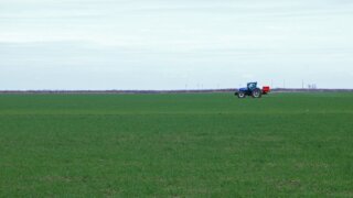 Позаботиться о плодородии почвы