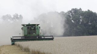 Земля никогда не возвращает без излишка то, что получила