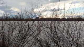 Туман, ветер, дождь и +18°C: погода на Кубани в воскресенье