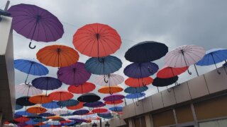 В Краснодарском крае в начале недели ожидается похолодание и дожди